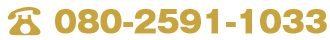 080-2591-1033